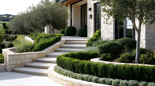 Why Your Texas Landscaping is Struggling