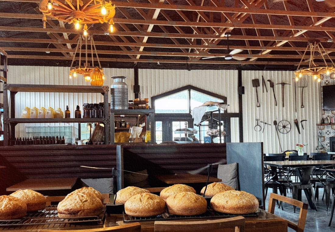 Review of Sovereignty Ranch in Bandera, TX
