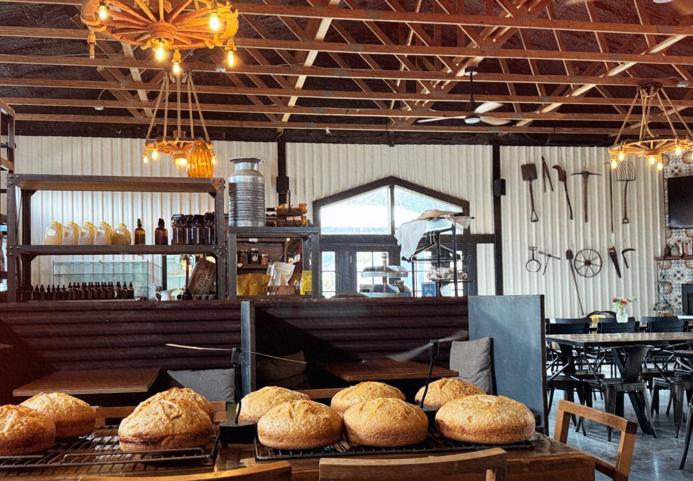 Review of Sovereignty Ranch in Bandera, TX