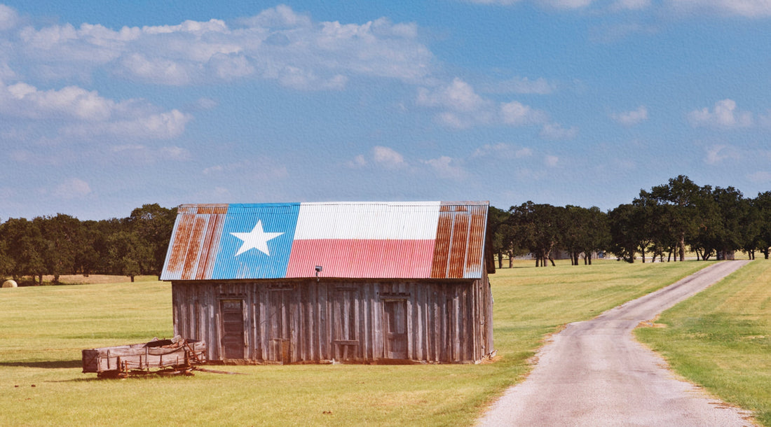How to Spot a Money Pit: Red Flags When Buying Rural Properties