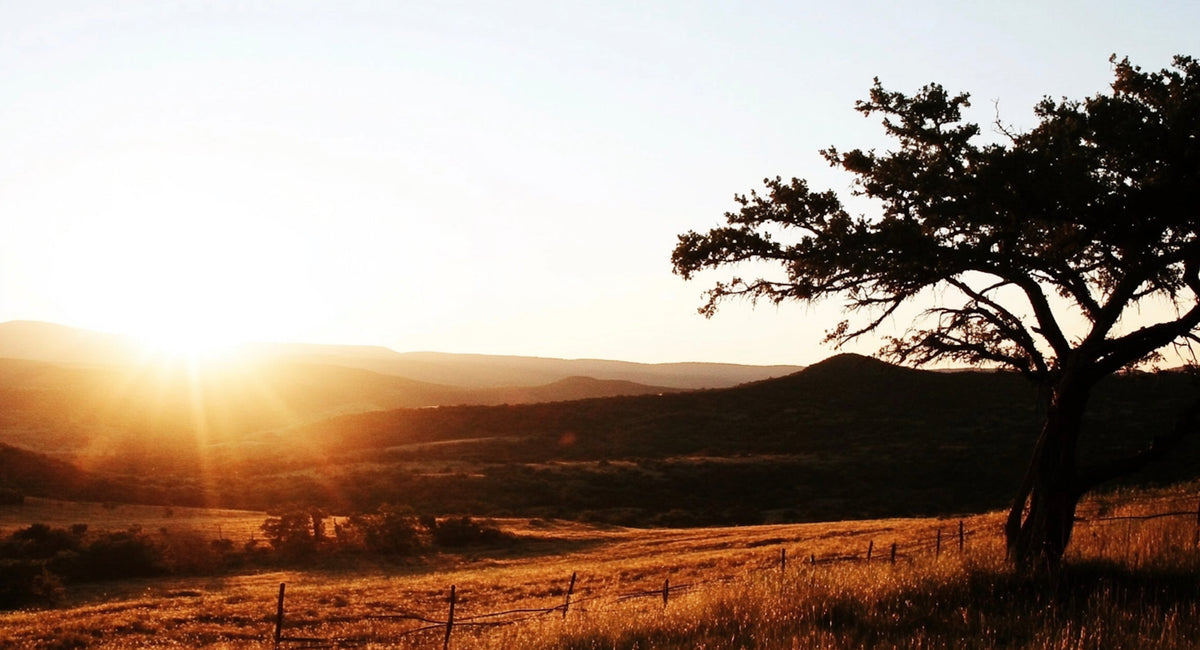 Hill Country Strong