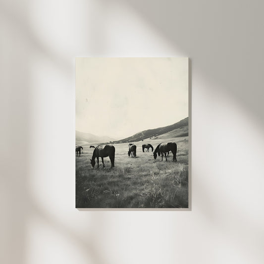 'Grazing' Hill Country Print on Canvas